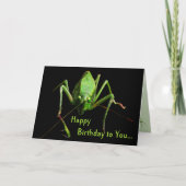 Katydidの誕生日 カード (正面)