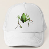 Katydid キャップ (正面)
