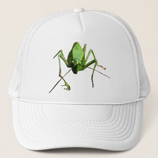 Katydid キャップ (正面)