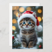 Kätzchen mit roter Weihnachtsmütze 招待状 (正面/裏面)