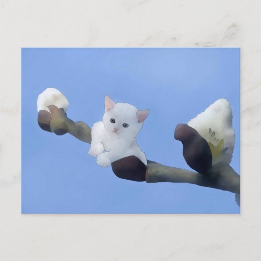 Kätzchenfrühling ポストカード (正面)