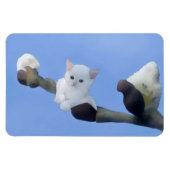 Kätzchenfrühling マグネット (横)