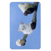 Kätzchenfrühling マグネット (縦)