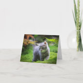 Katze - Haustier Karte 招待状 (正面)