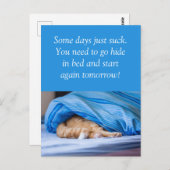 Katze rot Bett versteckt Some days suck ポストカード (正面/裏面)