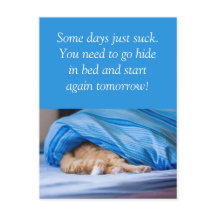 Katze rot Bett versteckt Some days suck