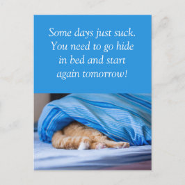 Katze rot Bett versteckt Some days suck ポストカード