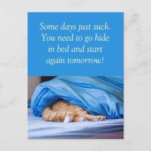 Katze rot Bett versteckt Some days suck ポストカード (正面)