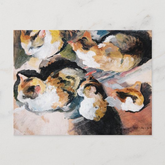 Katzenstudien(Cat勉強) 1909 シーズンポストカード (正面)