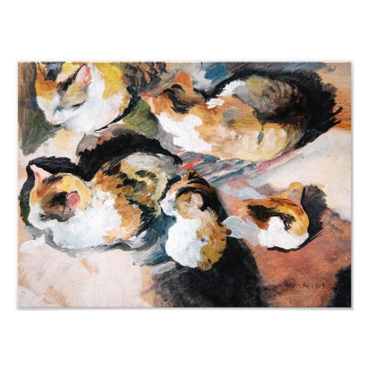 Katzenstudien(Cat勉強) 1909 フォトプリント (正面)