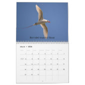 Kauai Hawaii カレンダー (3月 2026)