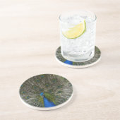 Kauai Peacock コースター (側面)