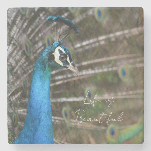 Kauai Peacock  ストーンコースター (正面)