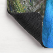 Kauai Peacock  マウスパッド (コーナー)