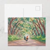 Kauai  Rooster walking towards tree tunnel ポストカード (正面/裏面)