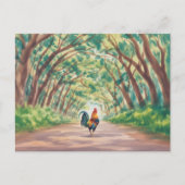 Kauai Rooster walking towards tree tunnel ポストカード (正面)