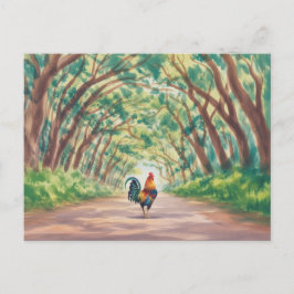 Kauai  Rooster walking towards tree tunnel ポストカード