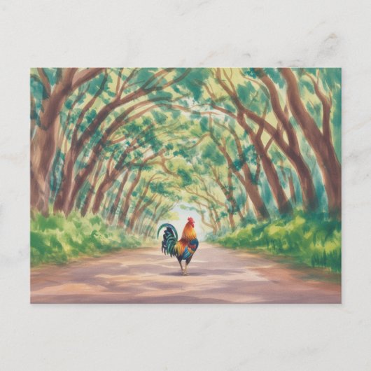 Kauai  Rooster walking towards tree tunnel ポストカード (正面)