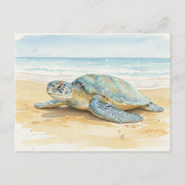 Kauai  Sea Turtles Resting at the Beach ポストカード