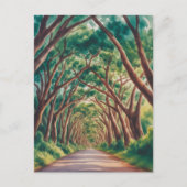 Kauai Tree Tunnel watercolor ポストカード (正面)
