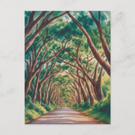 Kauai Tree Tunnel watercolor ポストカード