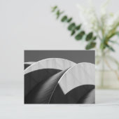 Kauffman Center白黒の曲線 ポストカード (スタンド正面)