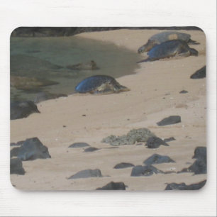 KauiのNa Paliのウミガメはmousepadを惰走させます マウスパッド