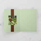 Kauriの森林シダ カード (内部)