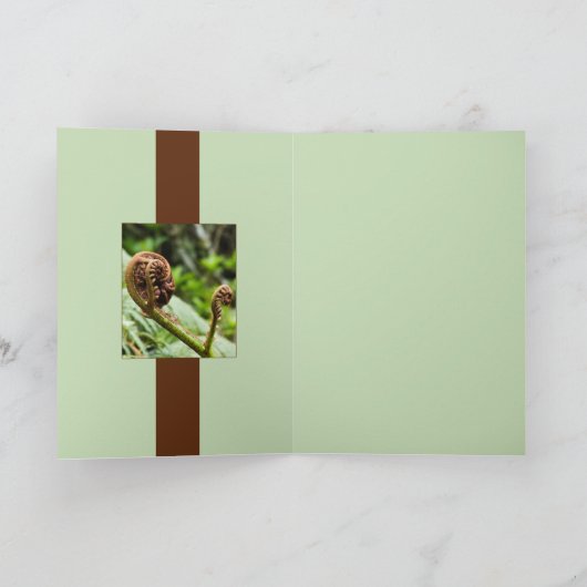 Kauriの森林シダ カード (内部)