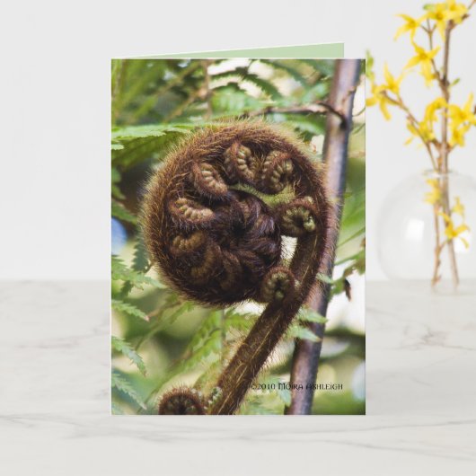 Kauriの森林シダ カード (黄色い花)