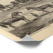 Kaw Valley Farm, Marion, and Topeka, Kansas ポスター (角)