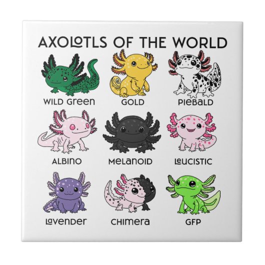 Kawaii Axolotls of the Worlds タイル (正面)