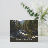 Kaweah River in Sequoia National Park ポストカード (スタンド正面)