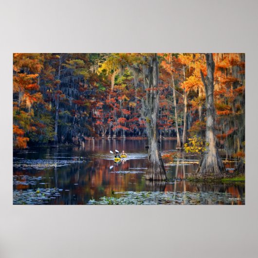 Kayaking - Caddo Lake, Texas - Autumn ポスター (正面)