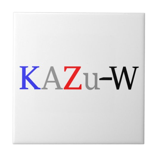 KAZu-W タイル (正面)