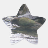 Kea 星シール (正面)