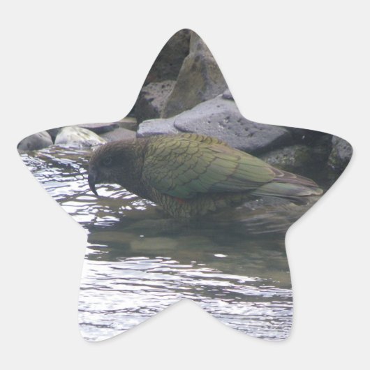 Kea 星シール (正面)