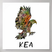 Kea new Zealand Native Bird ポスター (正面)