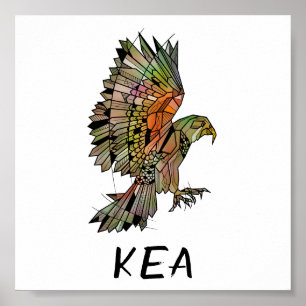 Kea new Zealand Native Bird ポスター