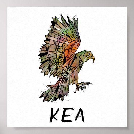 Kea new Zealand Native Bird ポスター (正面)