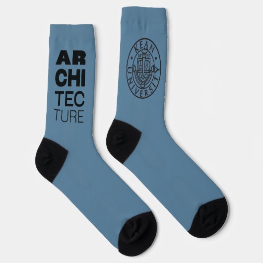 Kean MGC Architecture Socks ソックス (右)