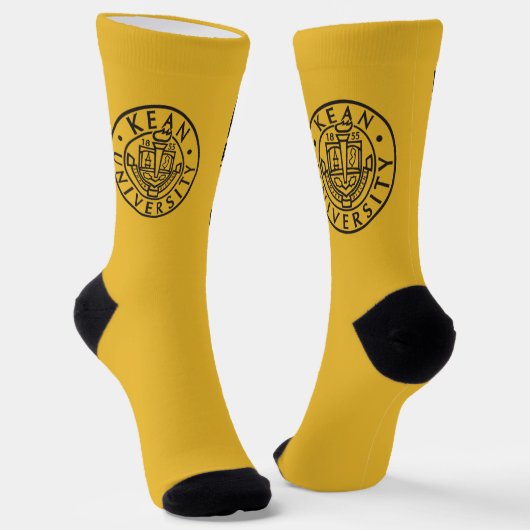 Kean MGC Industrial Design Socks ソックス (傾斜あり)