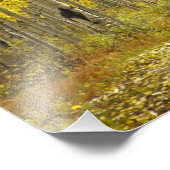 Keblerの秋の色と《植物》アスペンの道路2 フォトプリント (角)