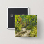 Keblerの秋の色と《植物》アスペンの道路 缶バッジ (正面&裏面)