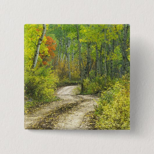 Keblerの秋の色と《植物》アスペンの道路 缶バッジ (正面)