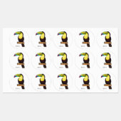Keel-billed toucan bird cartoon illustration  ラベル (シート)