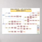 Keenan Cornelius - Gubber Guard v1 ポスター (正面)