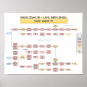 Keenan Cornelius - Squid Guard v1 ポスター (正面)