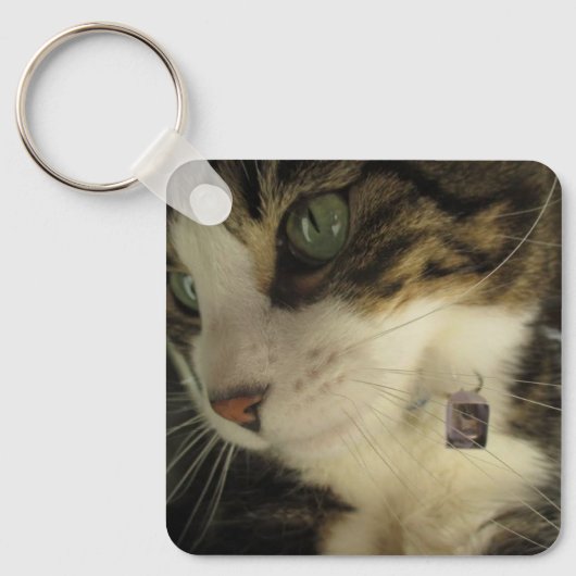 Keenoクローズアップアルミキーチェーン キーホルダー (正面)