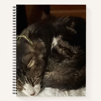 Keeno Perfect Circleスパイラルノート ノートブック